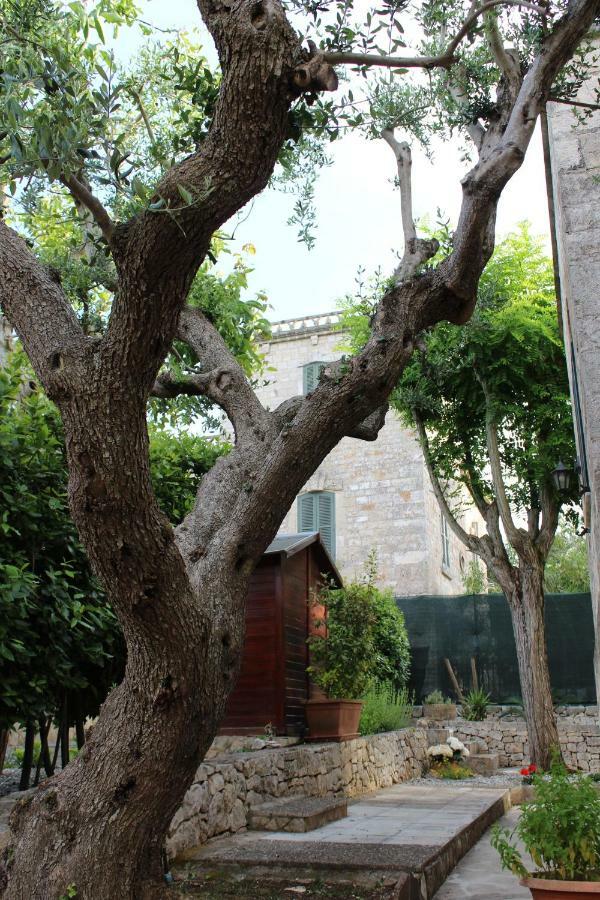 셀바디파사노 Domus Relax B&B 외부 사진